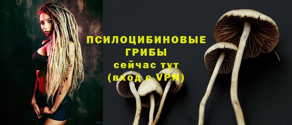 MESCALINE Медвежьегорск