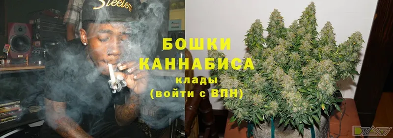 Марихуана SATIVA & INDICA  Ивангород 